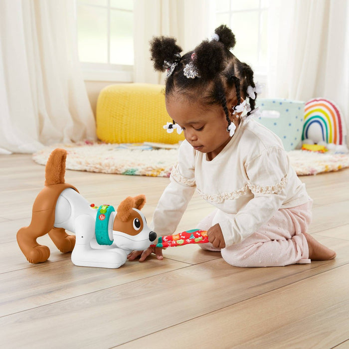 Fisher-Price 1-2-3 Crawl with Me Puppy