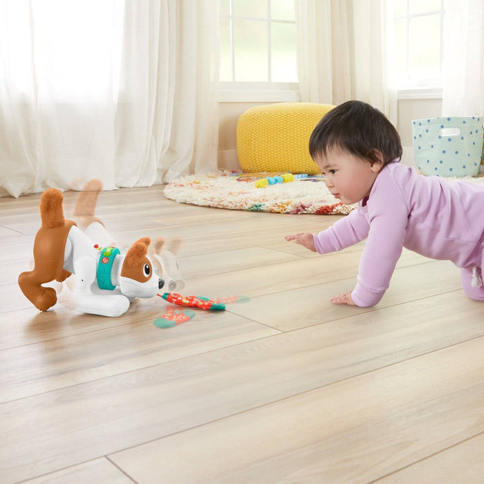 Fisher-Price 1-2-3 Crawl with Me Puppy