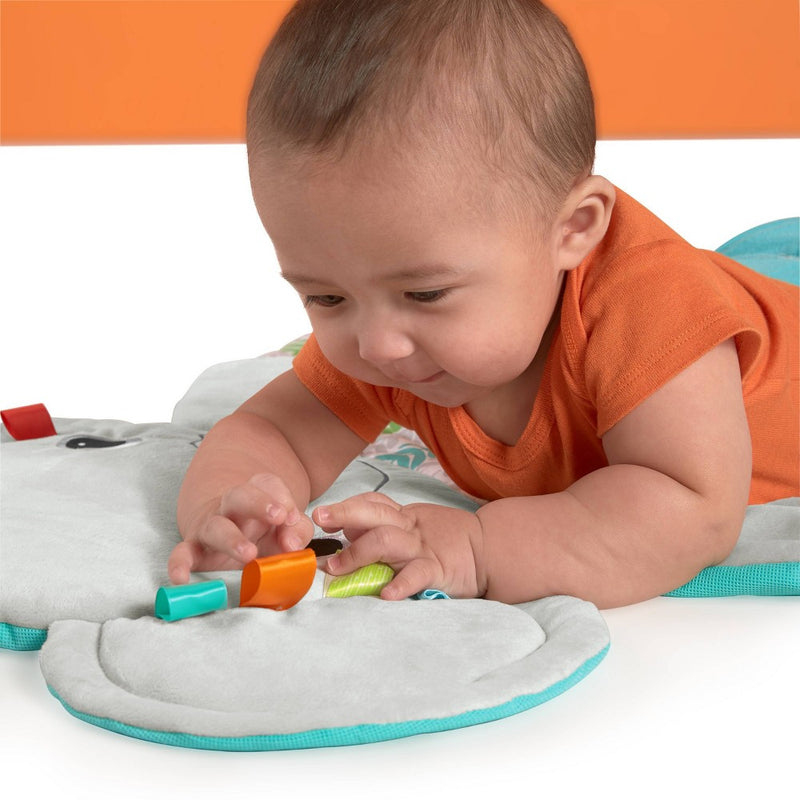 Bright Starts Hug ‘n Cuddle Elephant Activity Gym (LOCAL PICKUP ONLY)