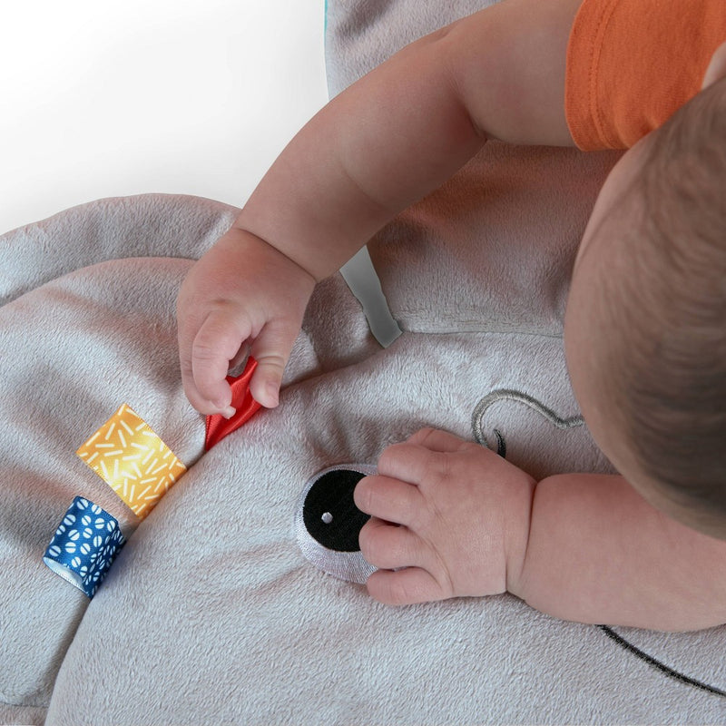 Bright Starts Hug ‘n Cuddle Elephant Activity Gym (LOCAL PICKUP ONLY)
