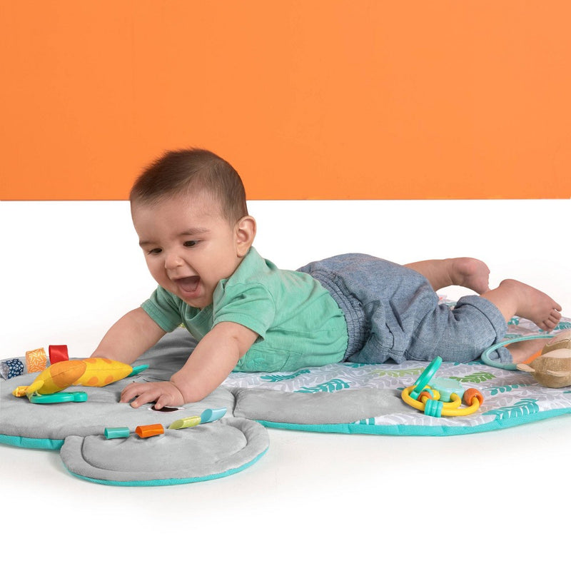 Bright Starts Hug ‘n Cuddle Elephant Activity Gym (LOCAL PICKUP ONLY)