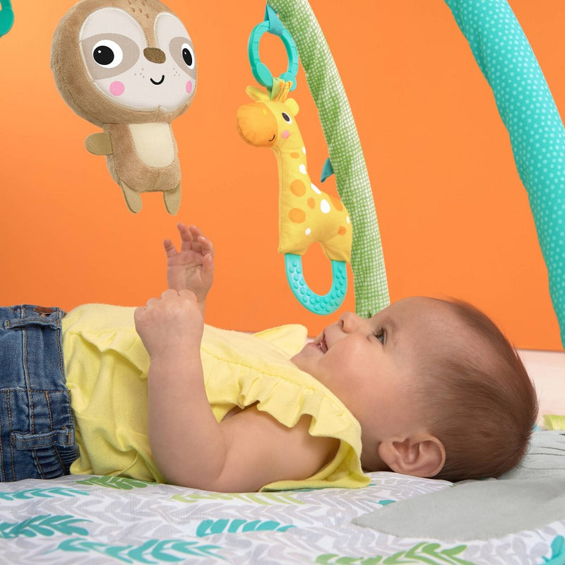Bright Starts Hug ‘n Cuddle Elephant Activity Gym (LOCAL PICKUP ONLY)