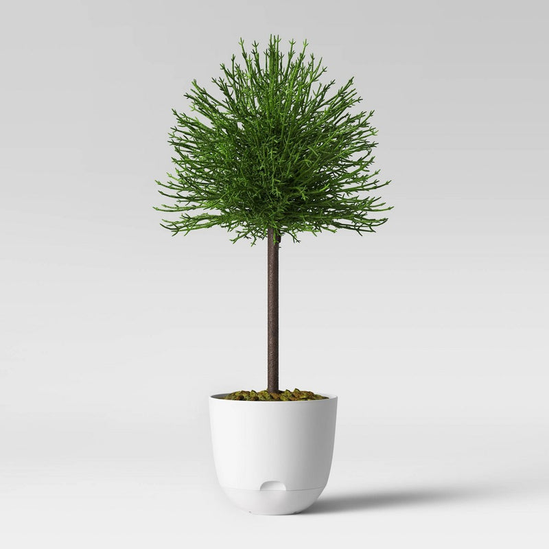 16" Indoor/Outdoor Self-Watering Planter White - Room Essentials™