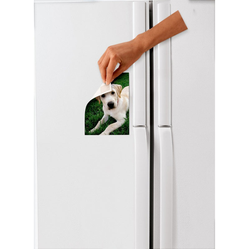 Scotch 64ct Removable Mounting Squares