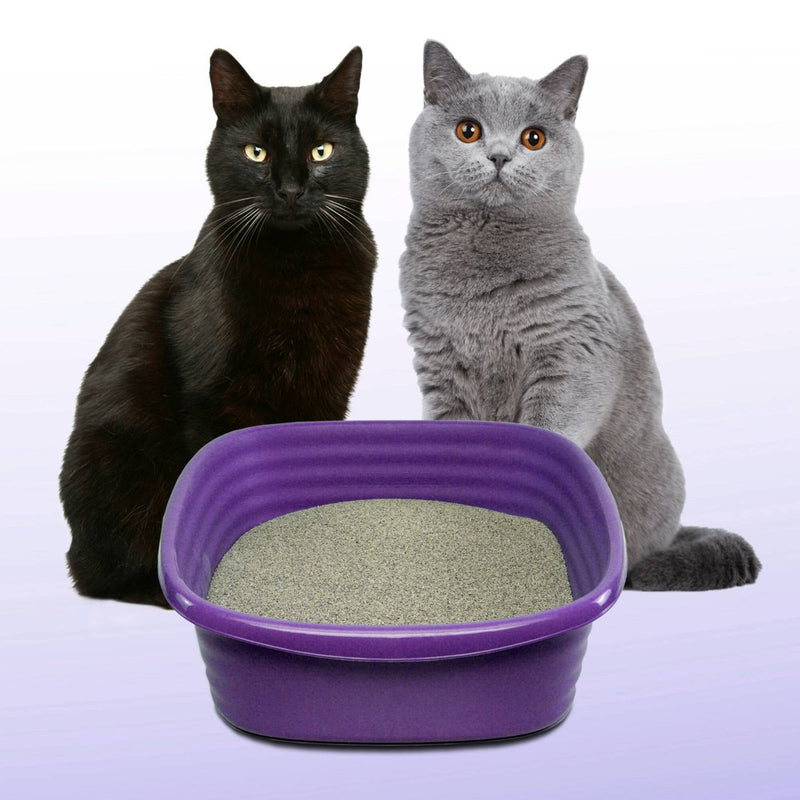 Arm & Hammer Slide Clumping Cat Litter - 38lbs (LOCAL PICKUP ONLY)