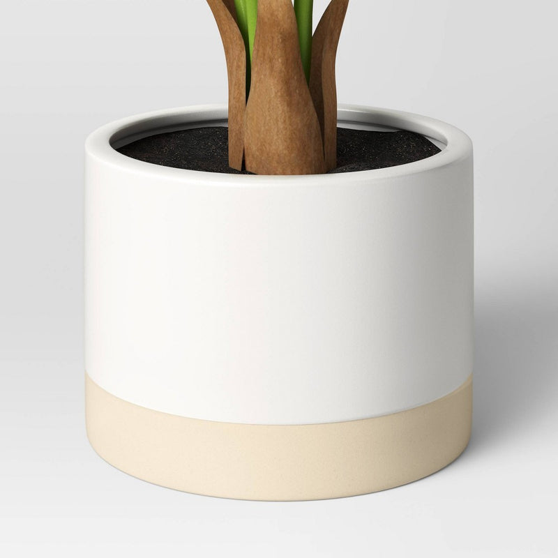 Caladium in White Ceramic Pot - Threshold™ (LOCAL PICKUP ONLY)