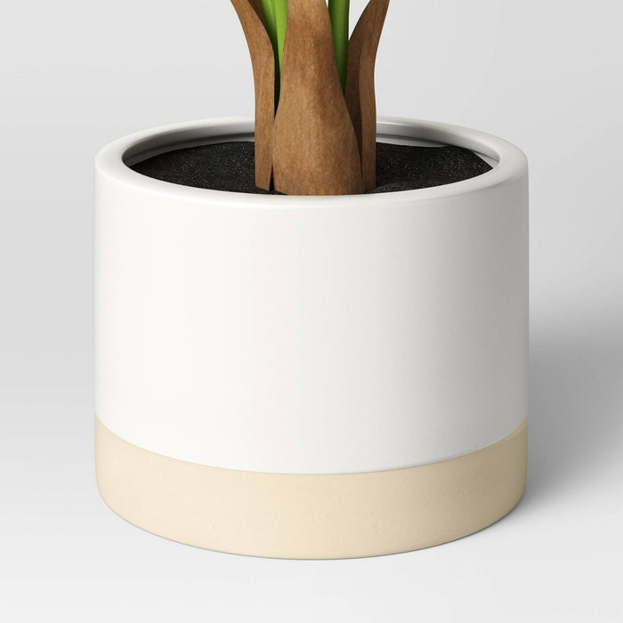 Caladium in White Ceramic Pot - Threshold™