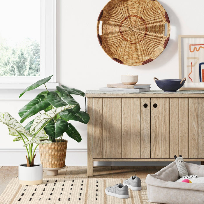 Caladium in White Ceramic Pot - Threshold™