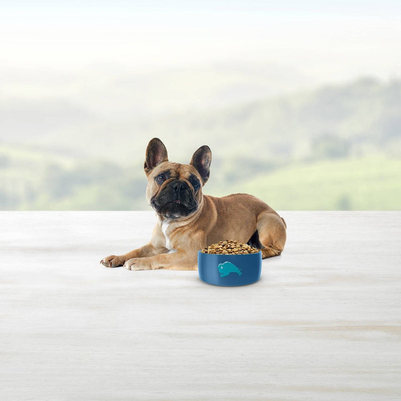 Blue Buffalo Life Protection Chicken & Brown Rice Recipe Small Breed Adult Dry Dog Food - 5lbs