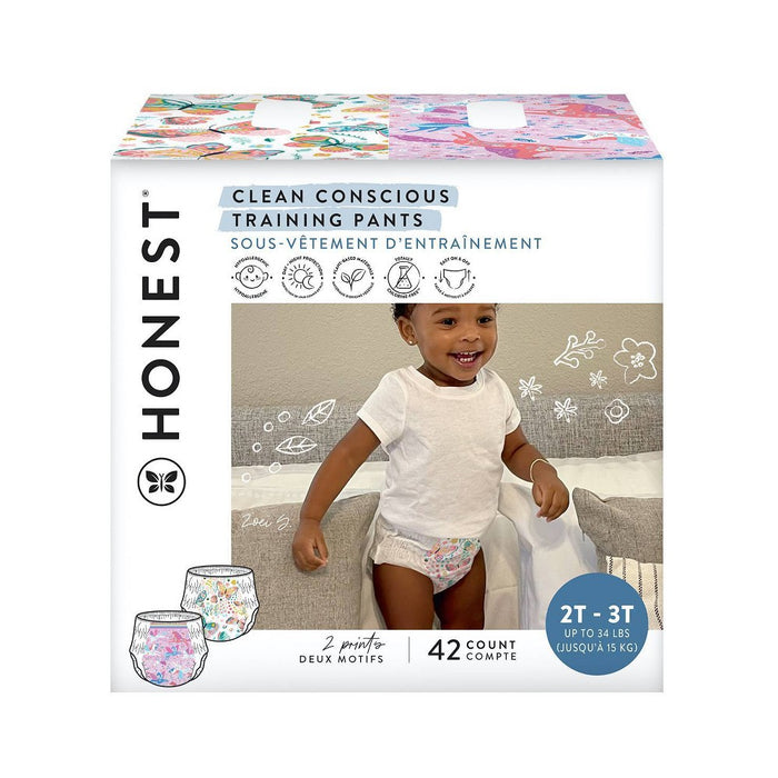 The Honest Company Clean Conscious Girls' Training Pants Butterfly Kisses & Magical Moments - Size 2T-3T - 42ct
