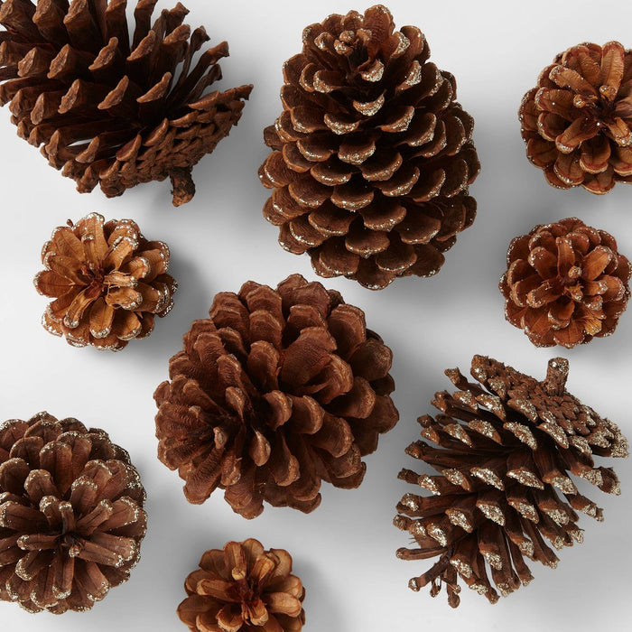 12ct Cinnamon Scented Pinecone Decorative Filler Natural/Glitter - Wondershop™