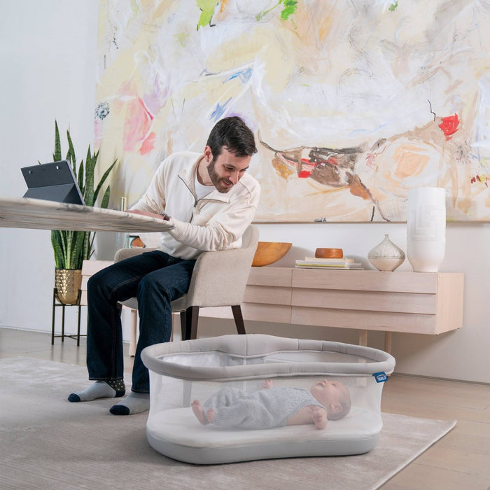HALO Innovations Bassinest Swivel Sleeper 3.0 - Gray (LOCAL PICKUP ONLY)
