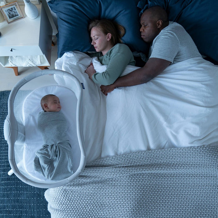 HALO Innovations Bassinest Swivel Sleeper 3.0 - Gray (LOCAL PICKUP ONLY)