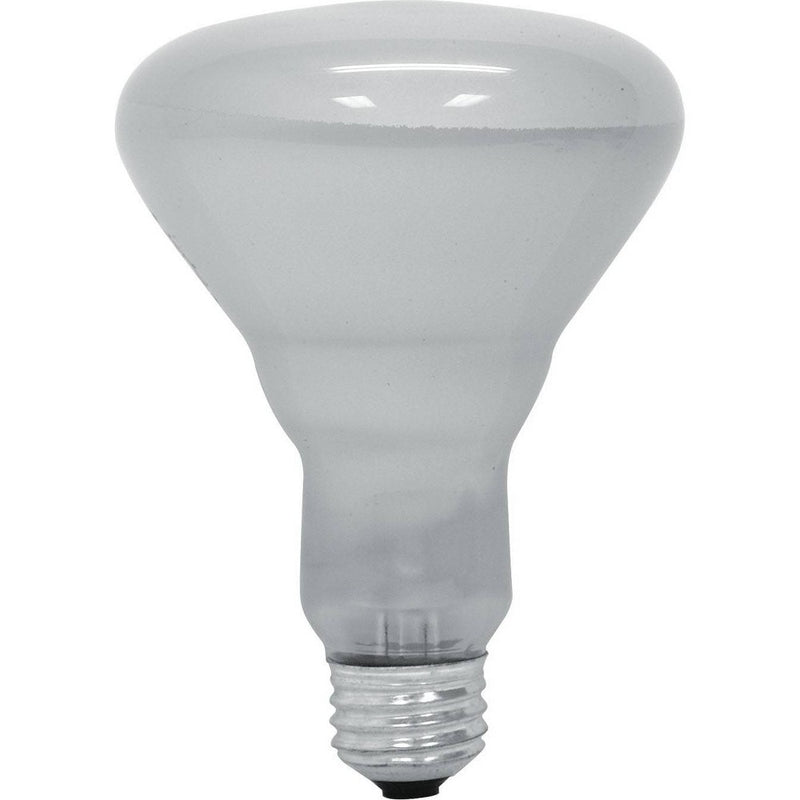 GE 65w 3pk R30 Long Life Incandescent Light Bulb White