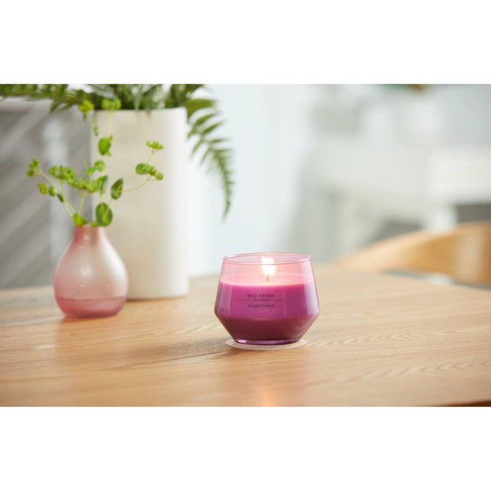 10oz 1-Wick Studio Collection Glass Candle Wild Orchid - Yankee Candle