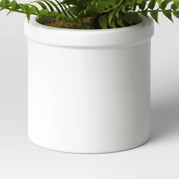 Small Boston Fern - Threshold™