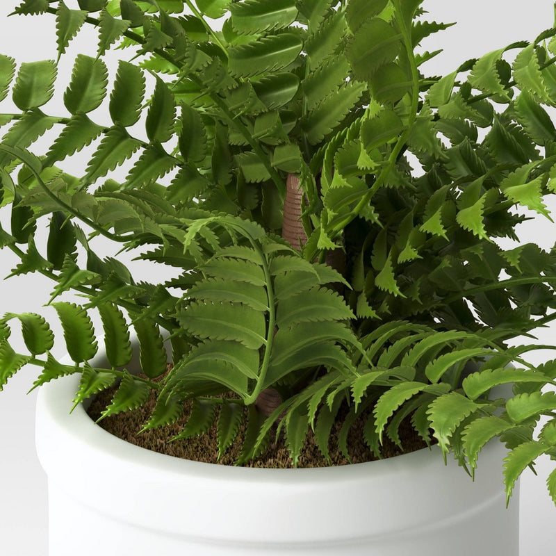 Small Boston Fern - Threshold™