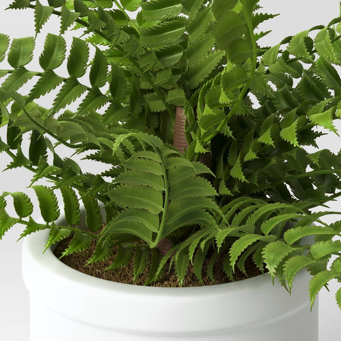 Small Boston Fern - Threshold™