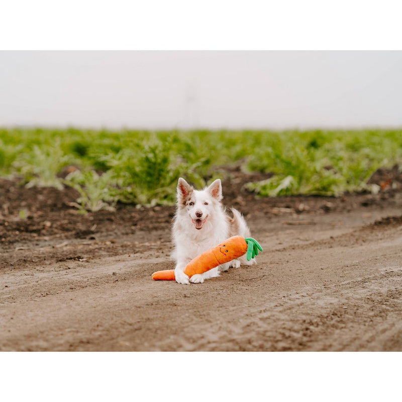 ZippyPaws Carrot Jiggler Dog Toy - 21"