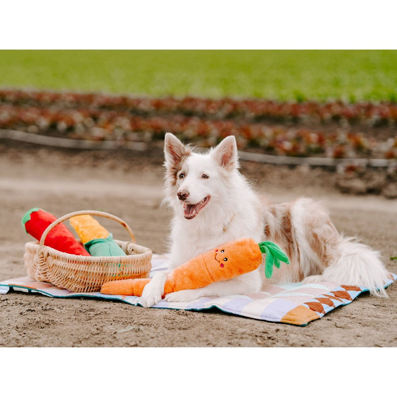 ZippyPaws Carrot Jiggler Dog Toy - 21"