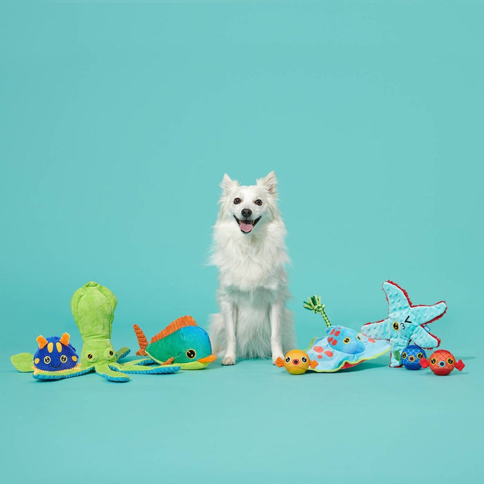 BARK Manny Ray Under the Seams Dog Toy - Blue/Red/Green