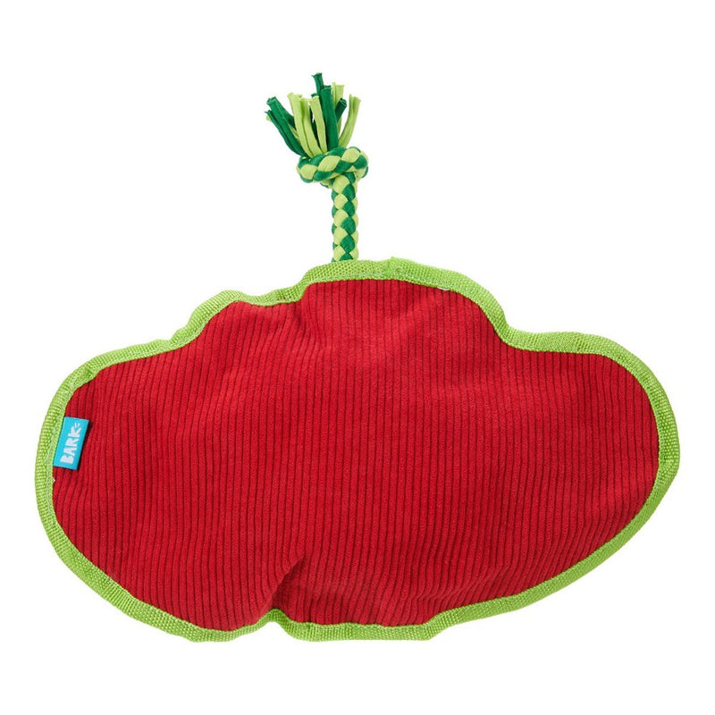 BARK Manny Ray Under the Seams Dog Toy - Blue/Red/Green