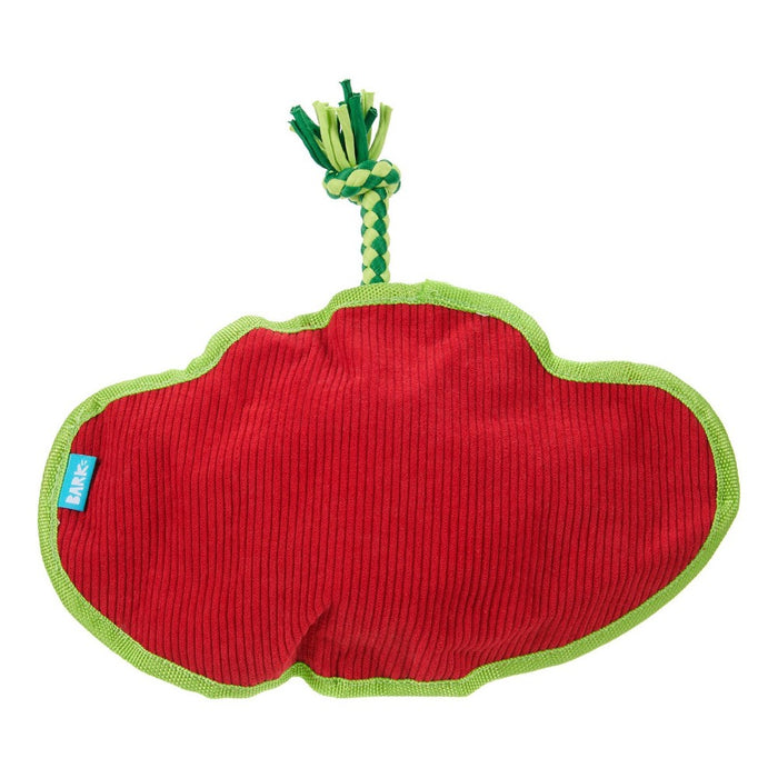 BARK Manny Ray Under the Seams Dog Toy - Blue/Red/Green