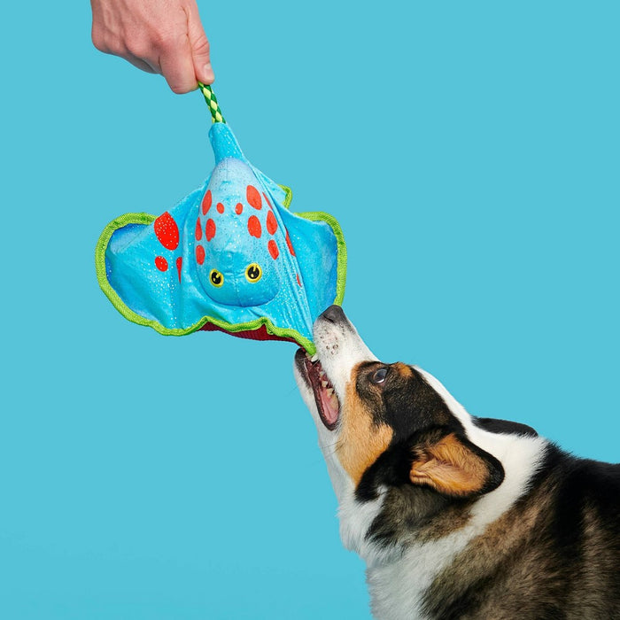 BARK Manny Ray Under the Seams Dog Toy - Blue/Red/Green