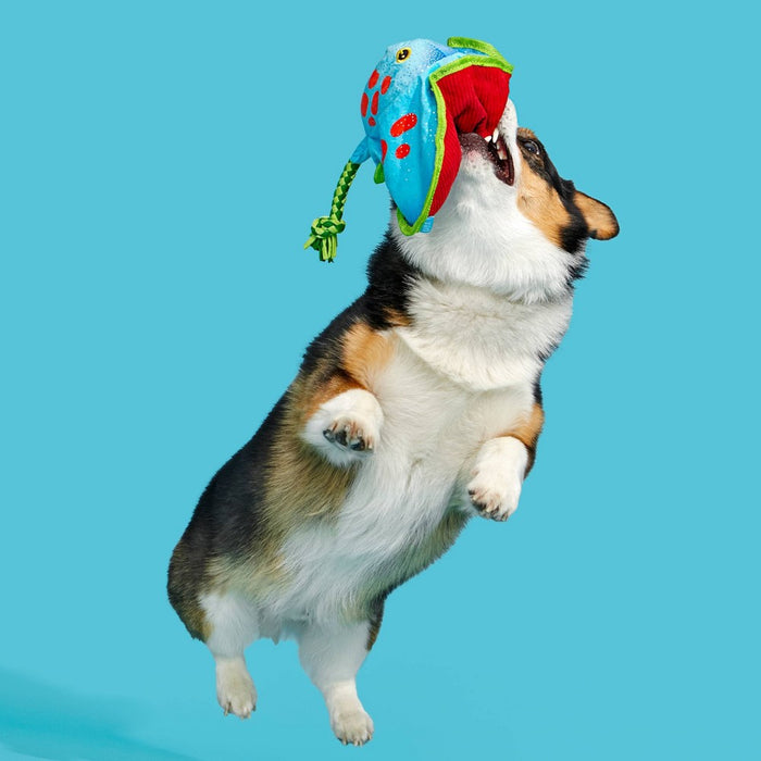 BARK Manny Ray Under the Seams Dog Toy - Blue/Red/Green