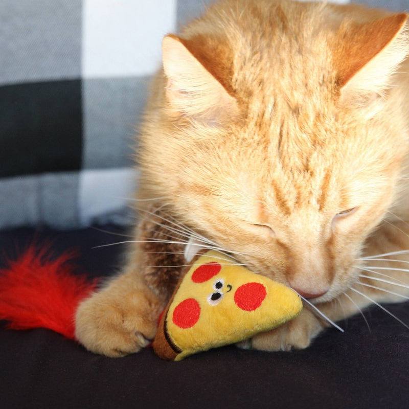 Quirky Kitty Pizza Hedge Hog Cat Toy - Brown - 2pk