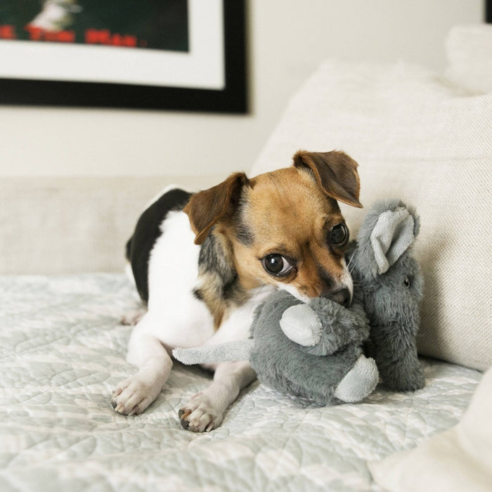 KONG Kiddos Comfort Elephant Dog Toy - Gray - XS