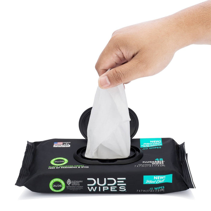 Dude Wipes Mint Chill Flushable Wipes - 3pk/48ct