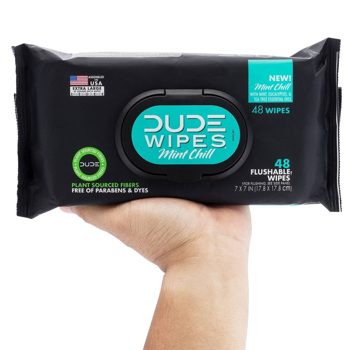 Dude Wipes Mint Chill Flushable Wipes - 3pk/48ct