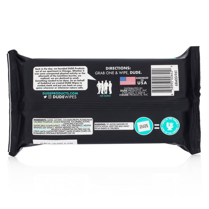 Dude Wipes Mint Chill Flushable Wipes - 3pk/48ct