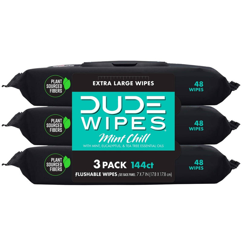Dude Wipes Mint Chill Flushable Wipes - 3pk/48ct
