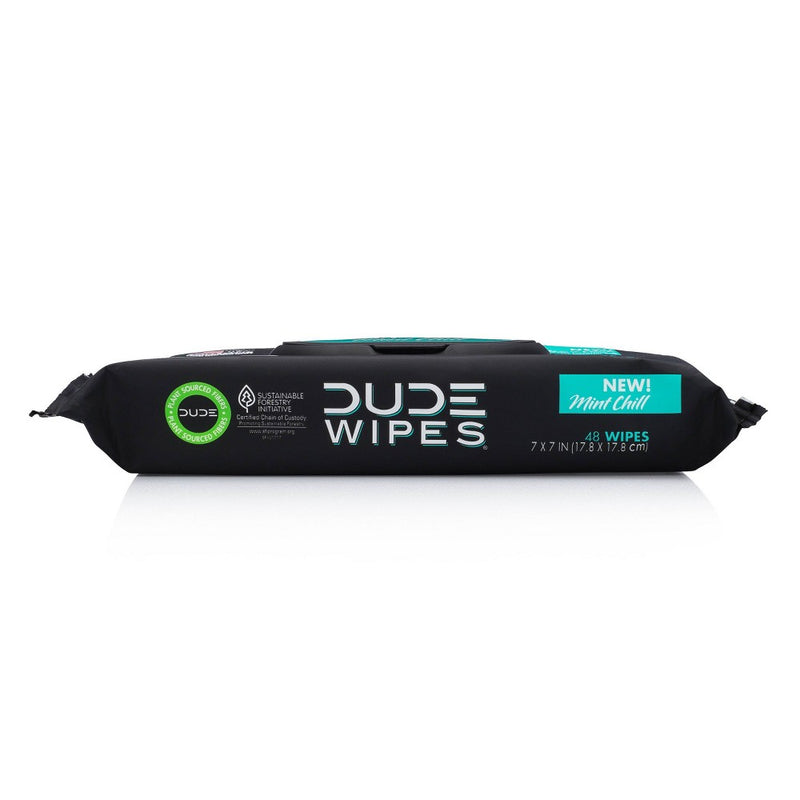 Dude Wipes Mint Chill Flushable Wipes - 3pk/48ct