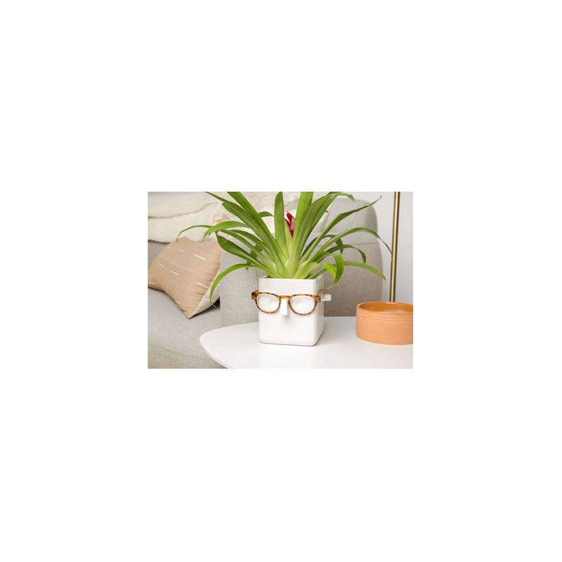 6" Wide Square Plant Holder White