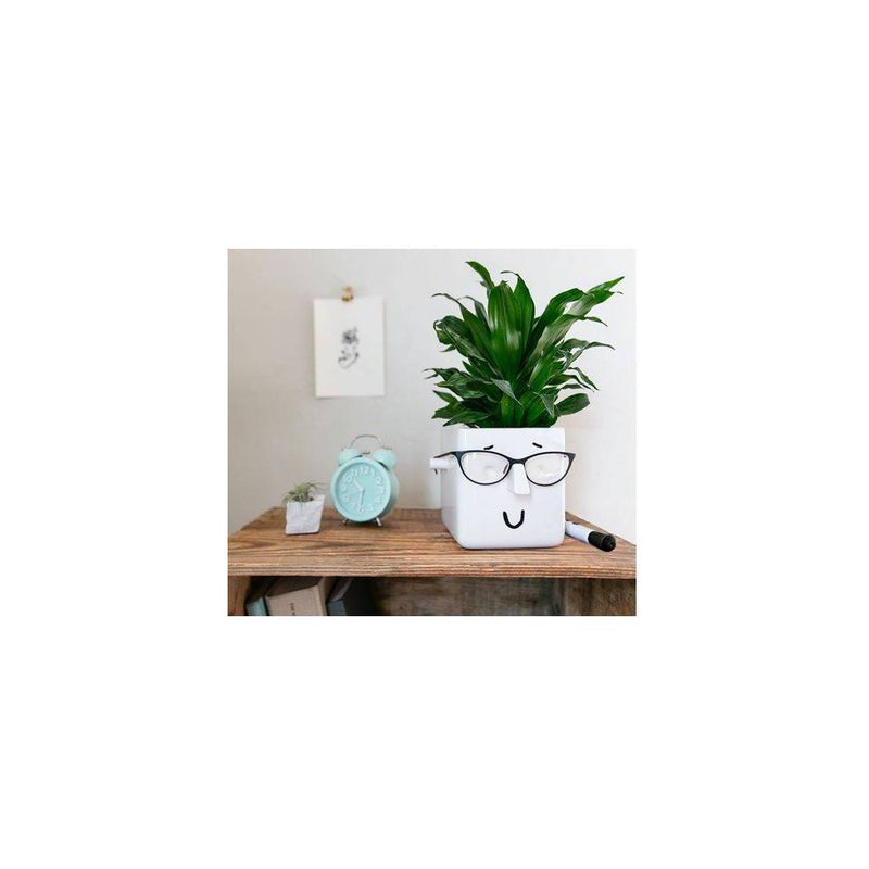 6" Wide Square Plant Holder White