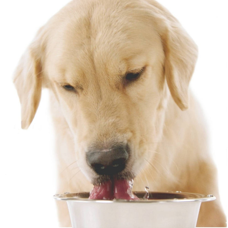 Naturel Promise Fresh Dental Health Solution for Dogs - 18oz