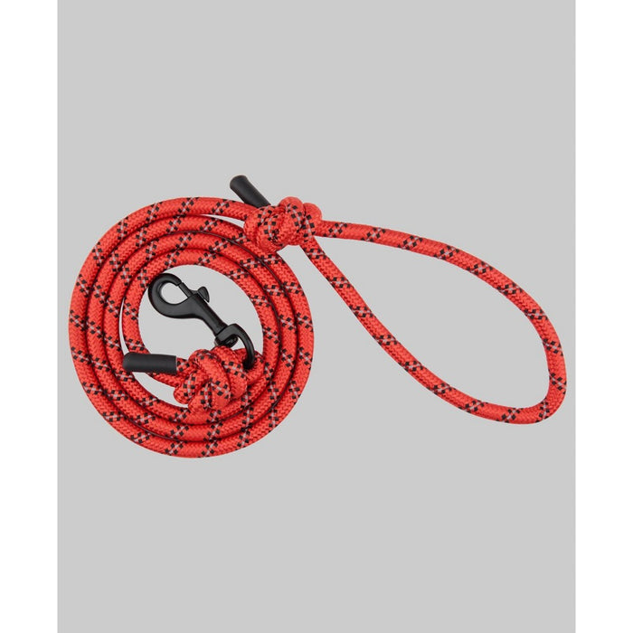 Bespoke Dog Gift Box Travel Accessory Set - One Size