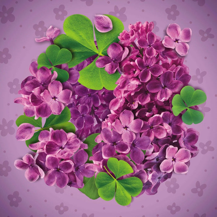Glade PlugIns Scented Oil Air Freshener Refills - Happy-Go-Lilac - 1.34oz/2ct