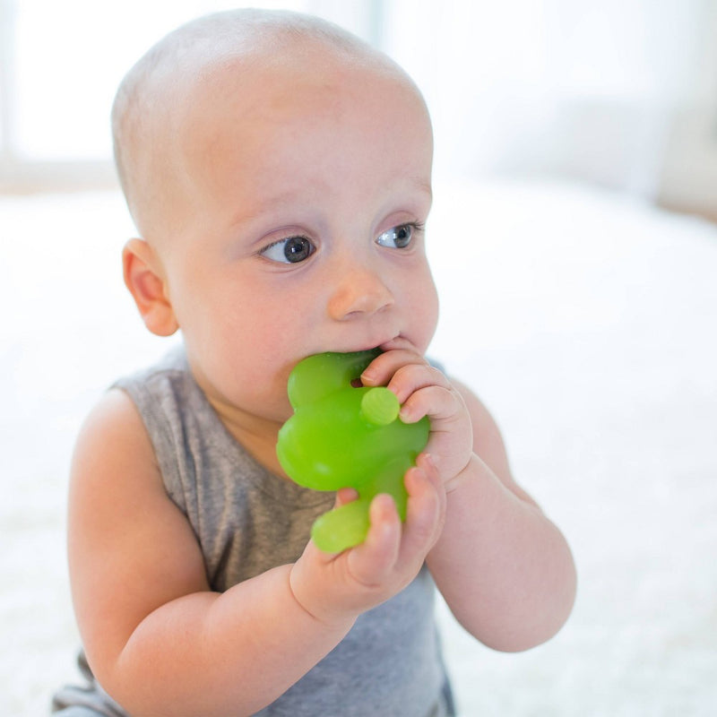 Dr. Brown's Nawgum 3-in-1 Textured Silicone Baby Teether