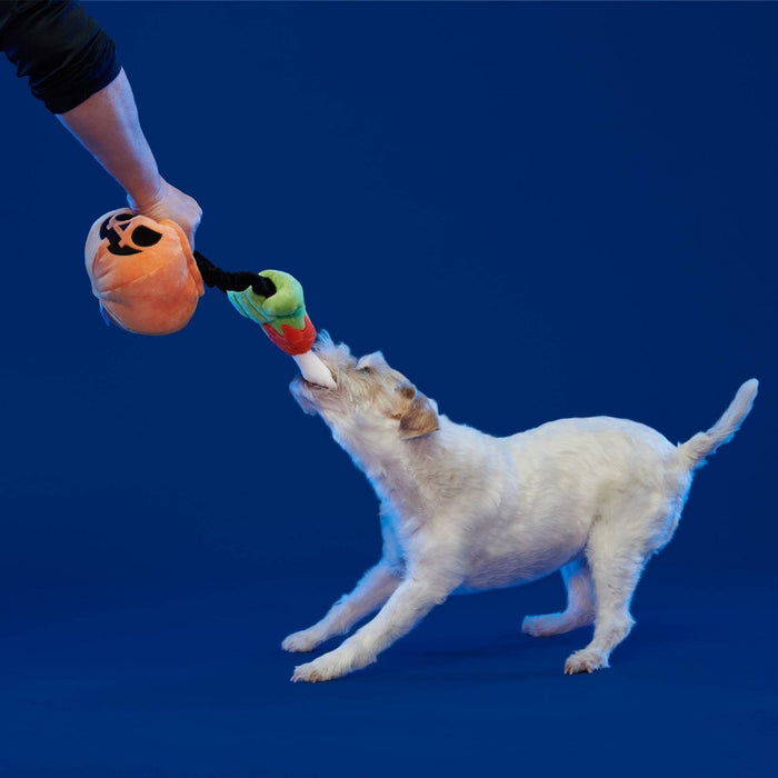 BARK Arm Candy Dog Toy