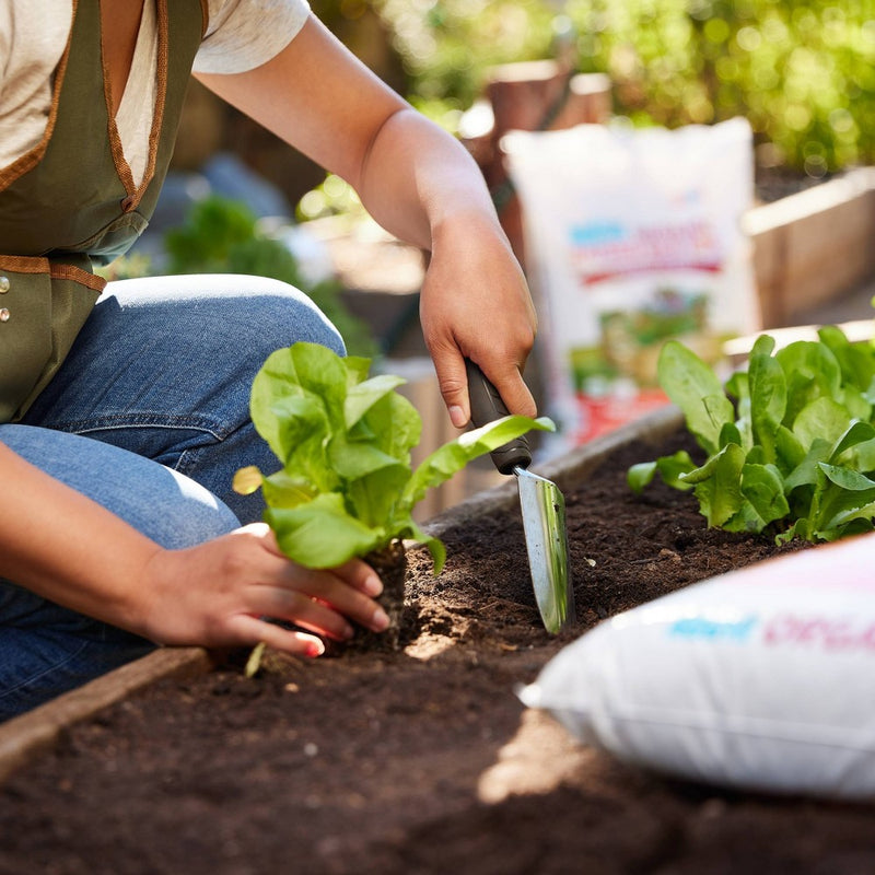 Back to the Roots 1CF Premium Raised Bed Mix (LOCAL PICKUP ONLY)