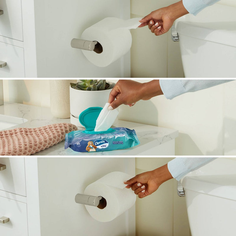 Charmin Flushable Wipes - 8pk/40ct