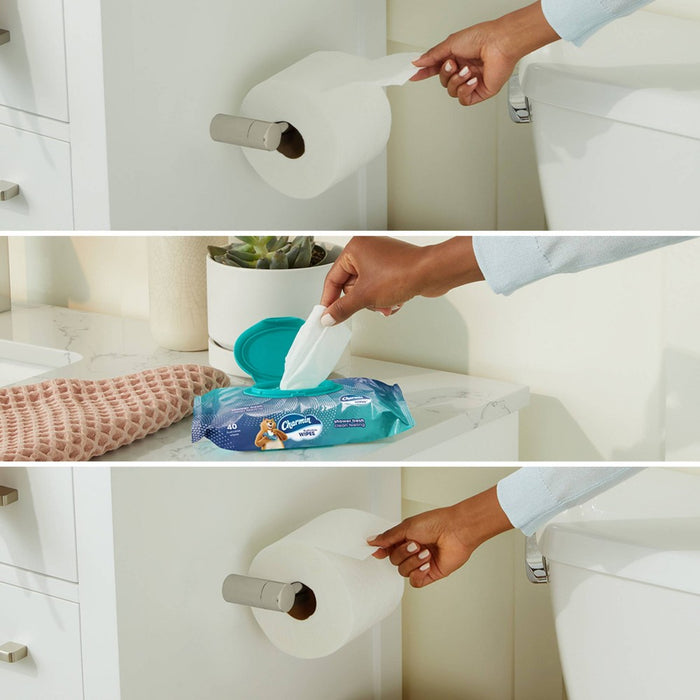 Charmin Flushable Wipes - single