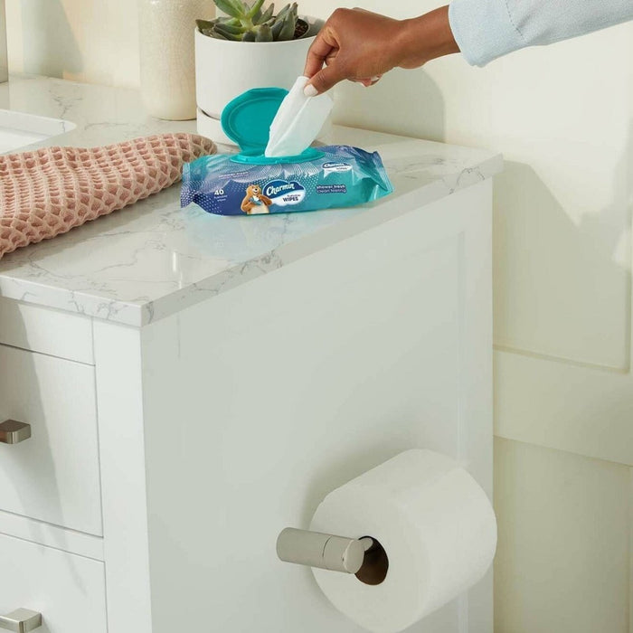 Charmin Flushable Wipes - single