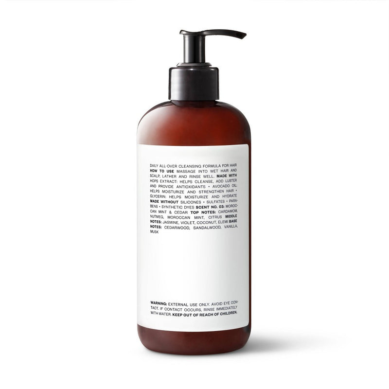 2-in-1 Moroccan Mint & Cedar Shampoo and Conditioner - 16 fl oz - Goodfellow & Co™