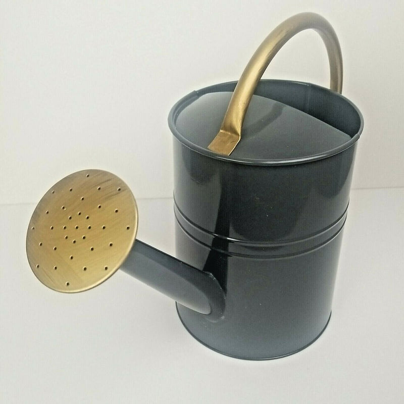 Home Decor Grey Watering Can with Gold Handle and Spout