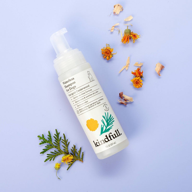 Marigold Cedarwood Waterless Dog Shampoo - 7oz - Kindfull™